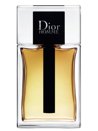 dior homme 2020|dior homme 2020 fragrantica.